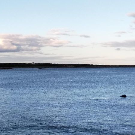 Fishermans Cottage Killough ภายนอก รูปภาพ
